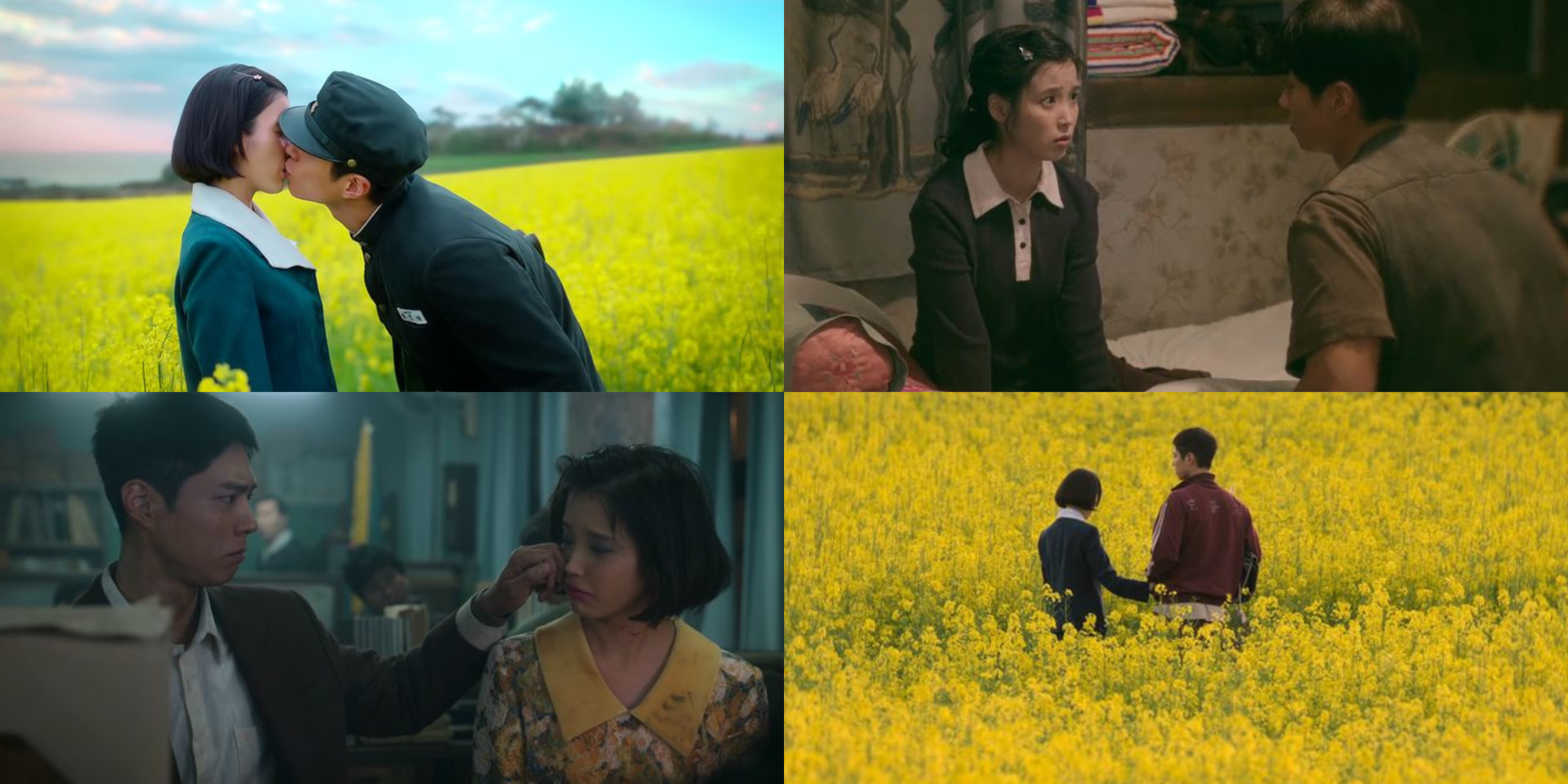  Jeju tangerine fields from the drama – peaceful and symbolic setting.  Emotional OST moment from When Life Gives You Tangerines – music and emotion blend