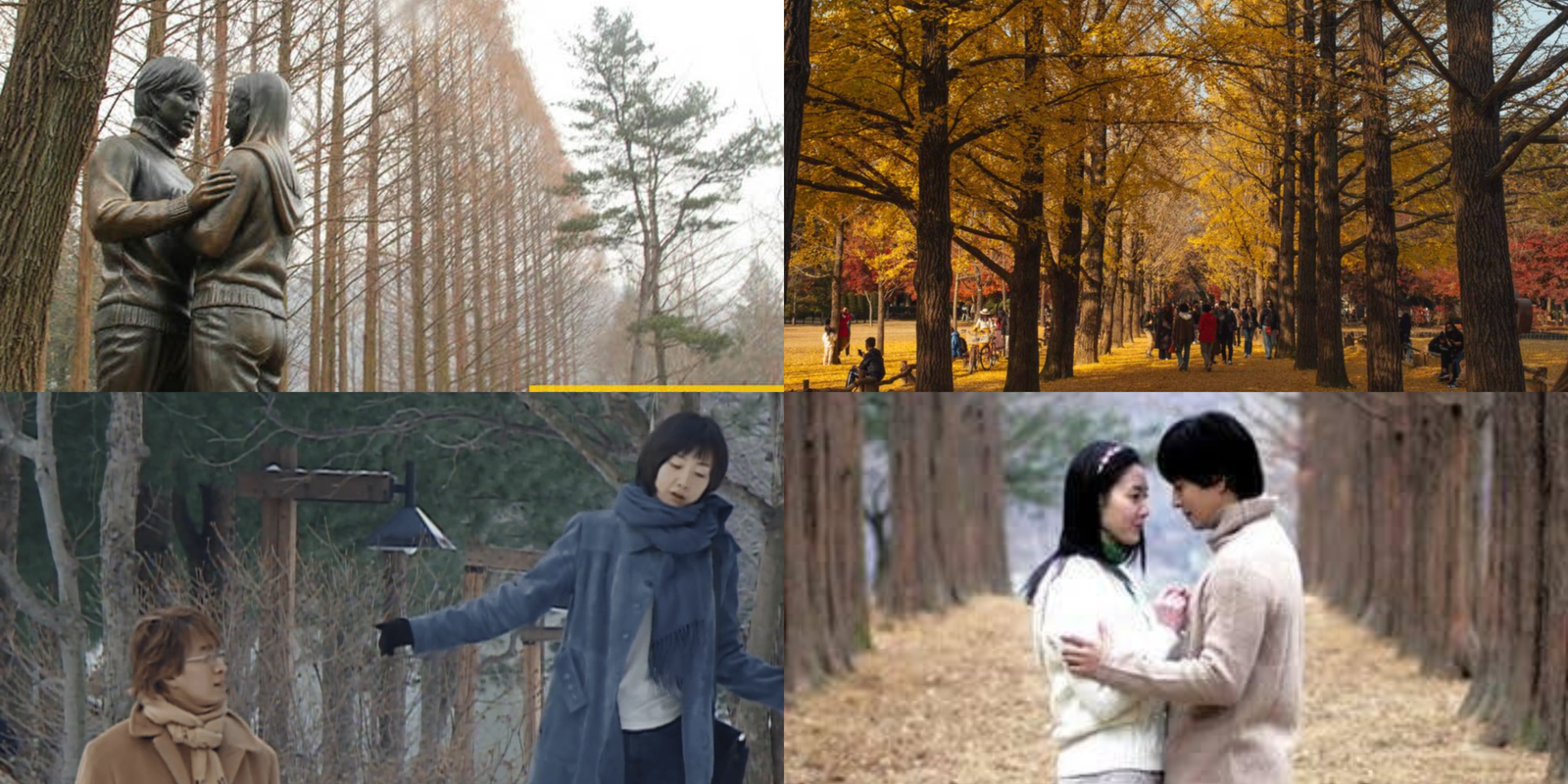 The iconic tree-lined Metasequoia path on Nami Island, the legendary filming location of the K-drama 'Winter Sonata'.